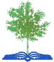 arbol