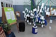 Muestra 25 años