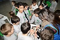 Muestra 25 años