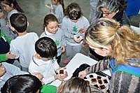 Muestra 25 años
